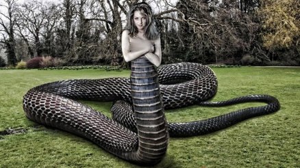 snake woman 1